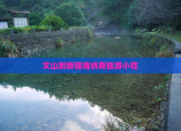 文山到新疆喀纳斯旅游小吃