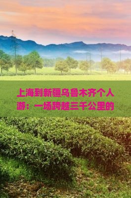 上海到新疆乌鲁木齐个人游