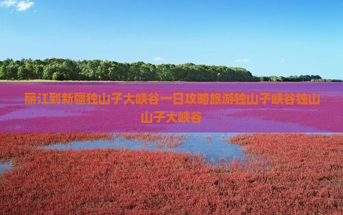 丽江到新疆独山子大峡谷一日