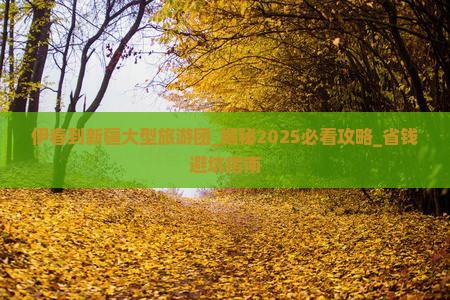 伊春到新疆大型旅游团