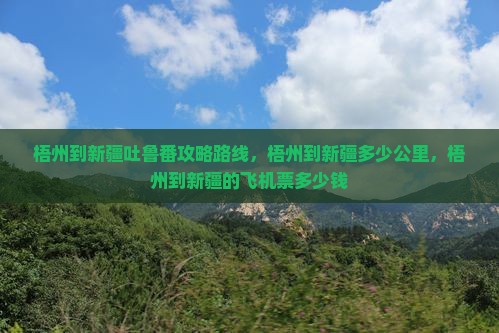 梧州到新疆吐鲁番攻略