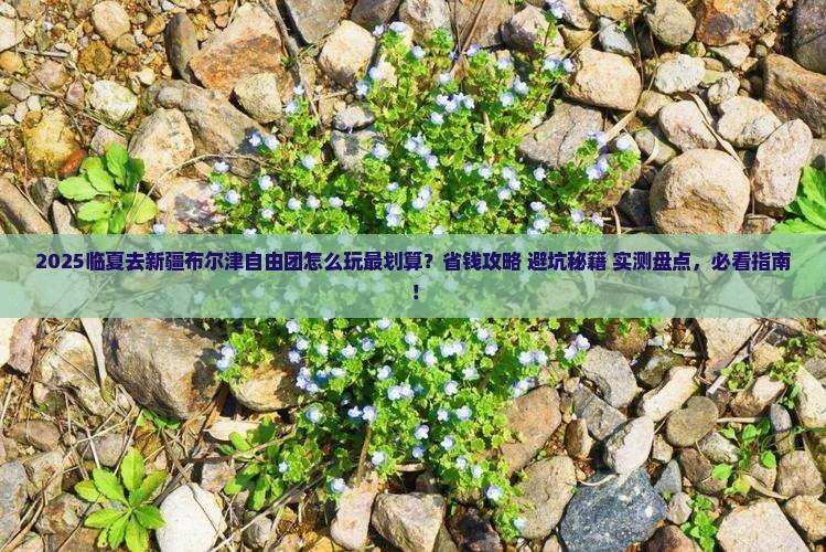 临夏去新疆布尔津自由团