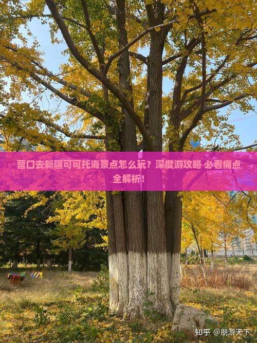 营口去新疆可可托海景点