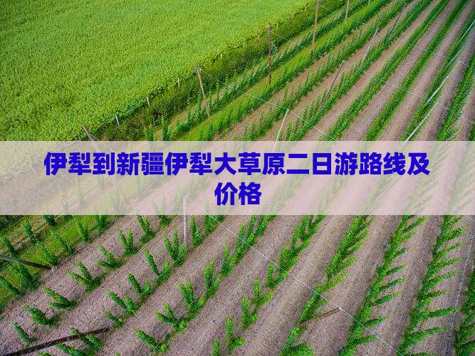 伊犁到新疆伊犁大草原二日游
