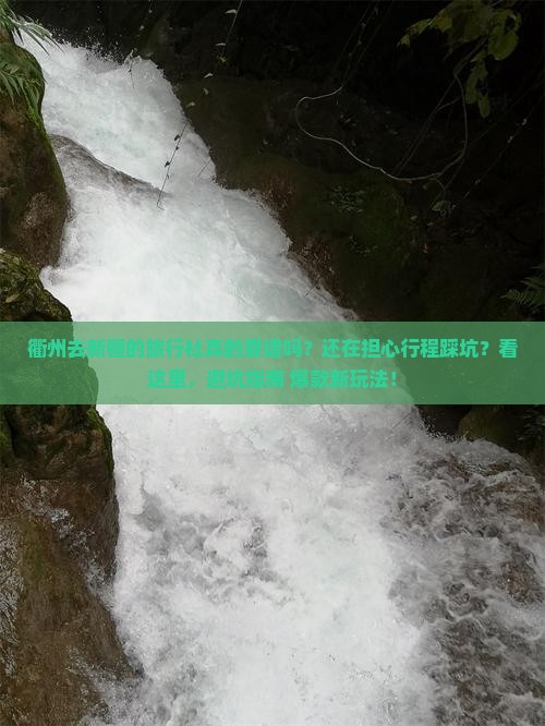 衢州去新疆旅行社