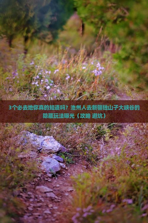 池州去新疆独山子大峡谷必去地