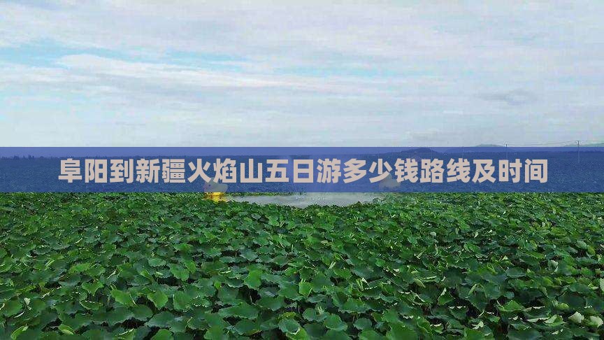 阜阳到新疆火焰山五日游