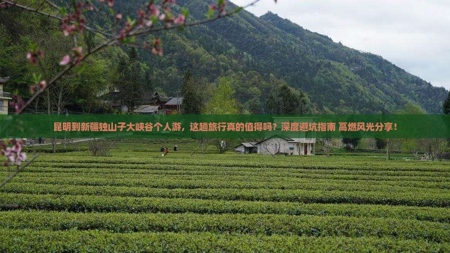 昆明到新疆独山子大峡谷个人游