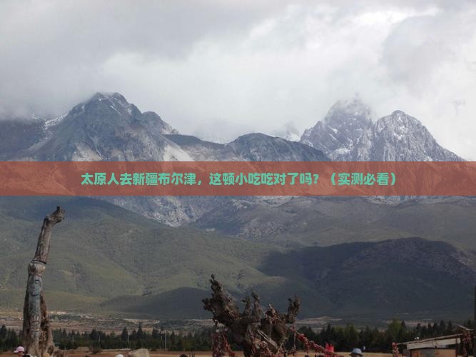 太原去新疆布尔津旅游小吃