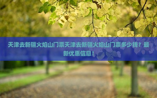 天津去新疆火焰山门票