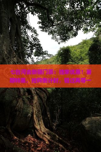 七台河去新疆门票