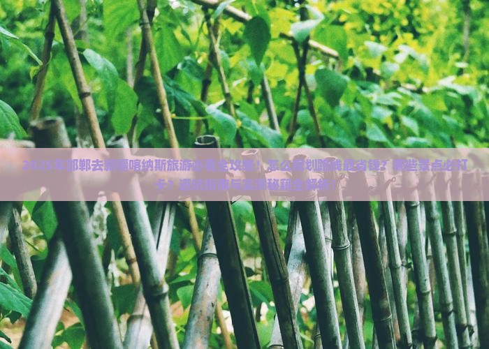 邯郸去新疆喀纳斯旅游
