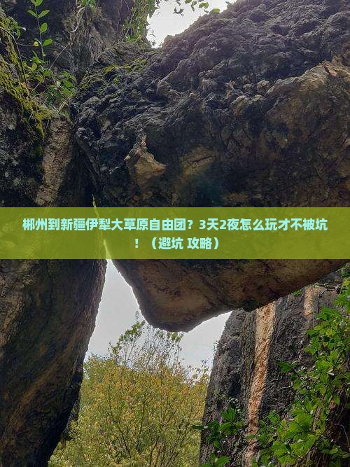 郴州到新疆伊犁大草原自由团