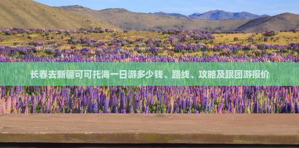 长春去新疆可可托海一日