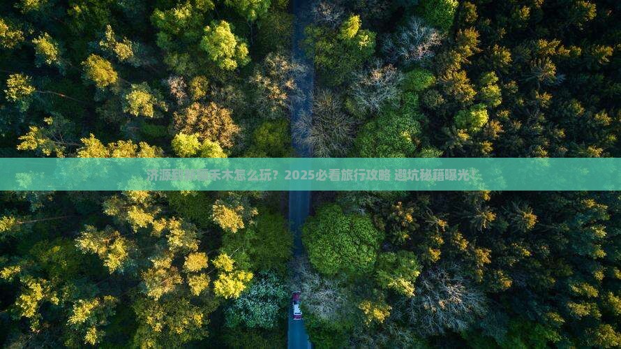 济源到新疆禾木旅行社