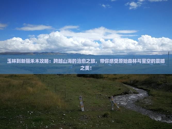 玉林到新疆禾木攻略