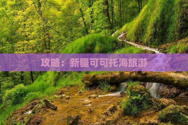 夏天去新疆可可托海自由行