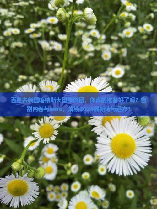 百色去新疆喀纳斯大型旅游团