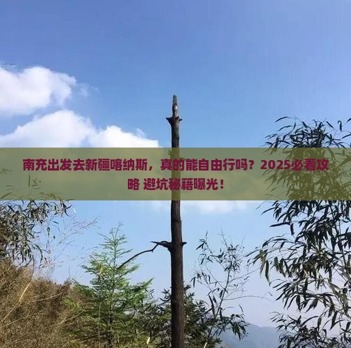 南充去新疆喀纳斯自由行