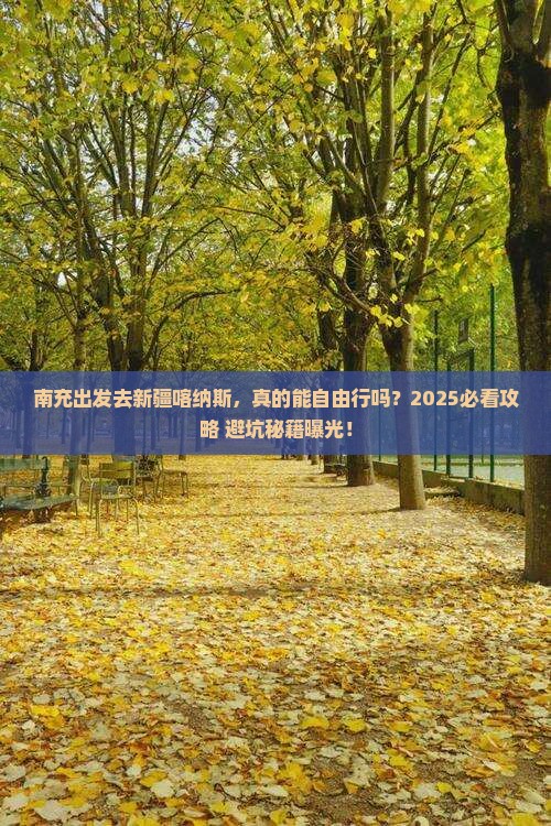 南充去新疆喀纳斯自由行
