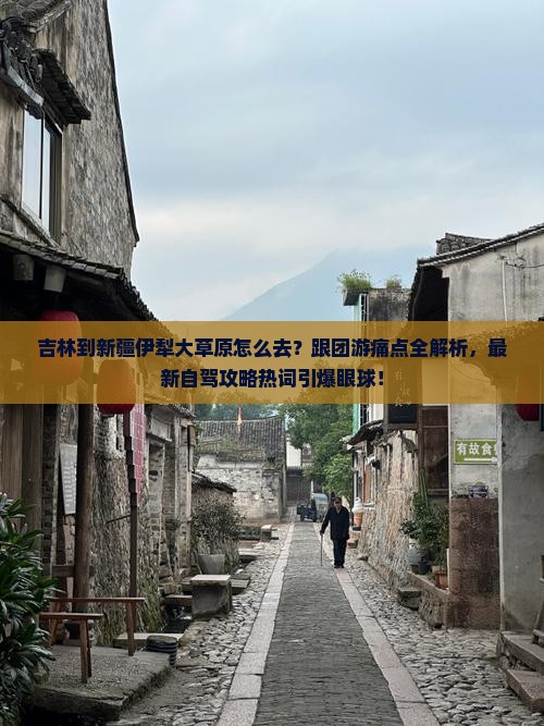 吉林到新疆伊犁大草原旅行社