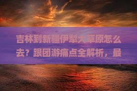吉林到新疆伊犁大草原旅行社