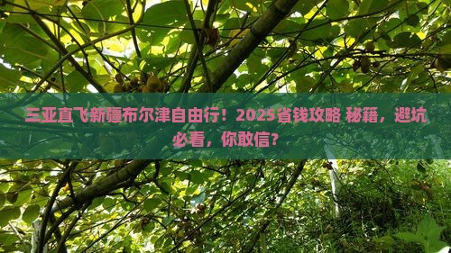 三亚去新疆布尔津自由团