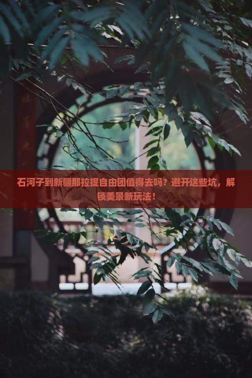 石河子到新疆那拉提自由团