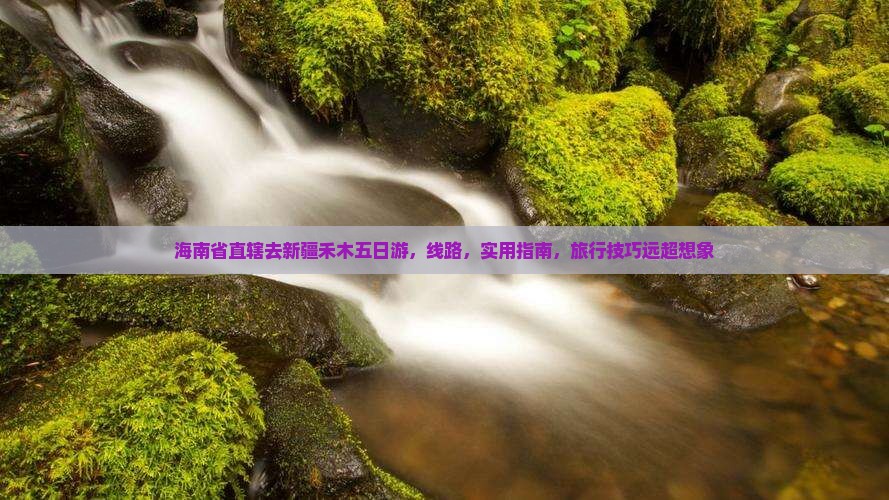 海南省直辖去新疆禾木五日游