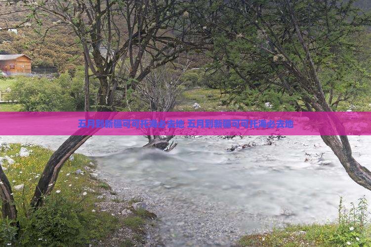 五月到新疆可可托海必去地