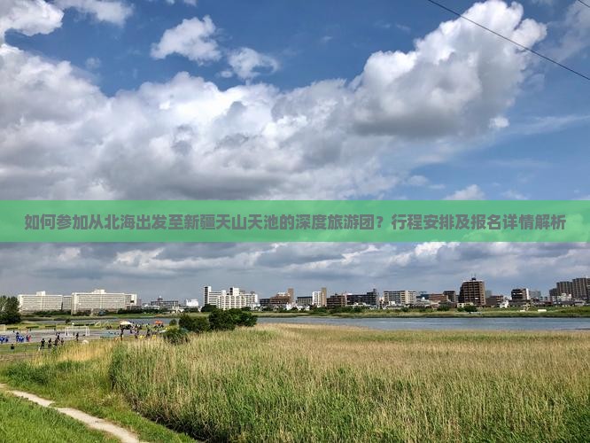 如何参加从北海出发至新疆天山天池的深度旅游团？行程安排及报名详情解析