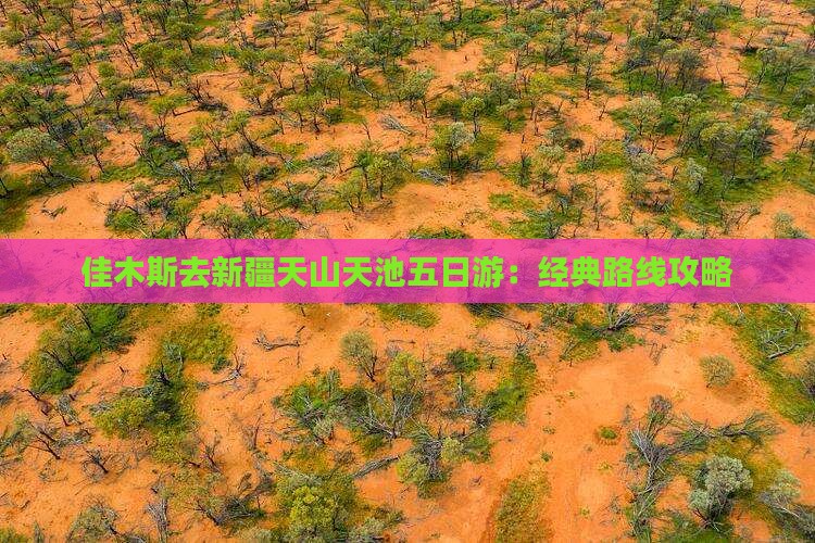 佳木斯去新疆天山天池五日游：经典路线攻略