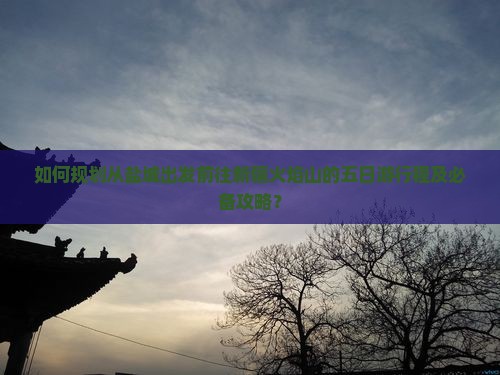 如何规划从盐城出发前往新疆火焰山的五日游行程及必备攻略？