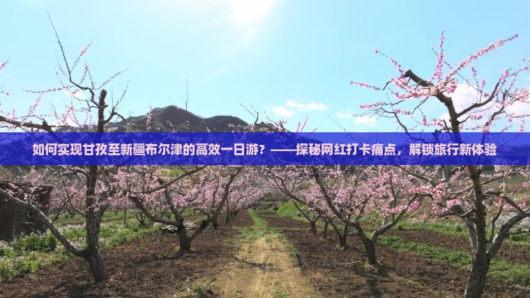如何实现甘孜至新疆布尔津的高效一日游？——探秘网红打卡痛点，解锁旅行新体验