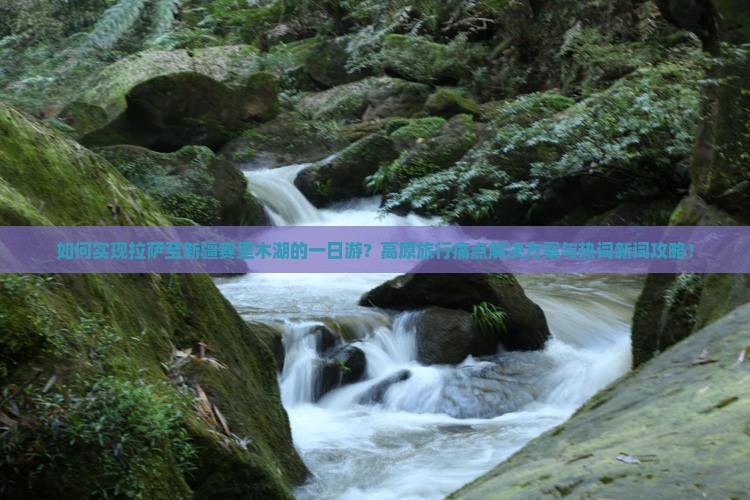 如何实现拉萨至新疆赛里木湖的一日游？高原旅行痛点解决方案与热词新词攻略！