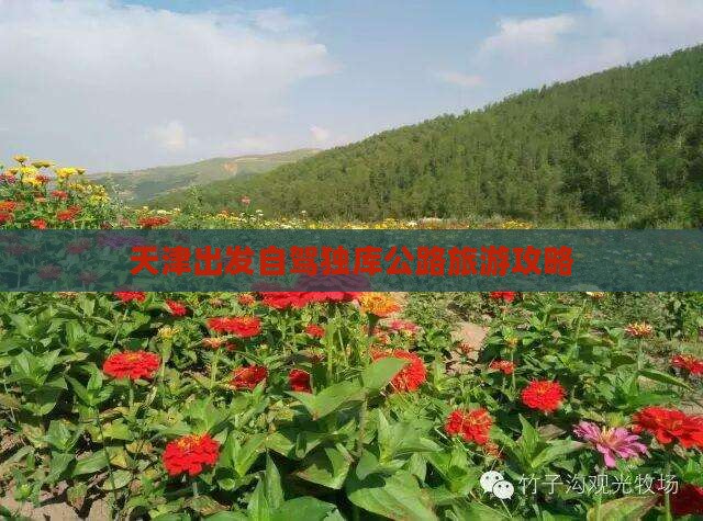 天津出发自驾独库公路旅游攻略