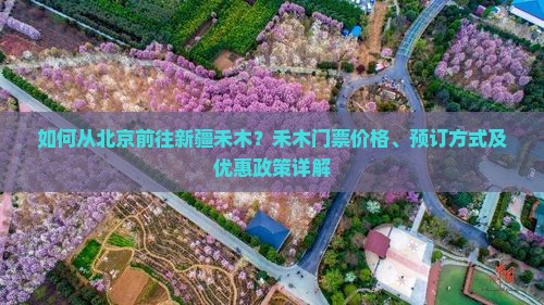 如何从北京前往新疆禾木？禾木门票价格、预订方式及优惠政策详解