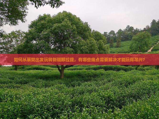 如何从襄樊出发玩转新疆那拉提，有哪些痛点需要解决才能玩得尽兴？