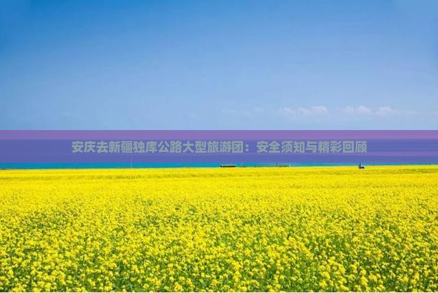 安庆去新疆独库公路大型旅游团：安全须知与精彩回顾