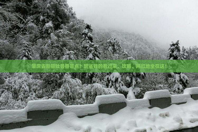 肇庆去新疆吐鲁番景点？想省钱的看过来，攻略、网红地全在这！