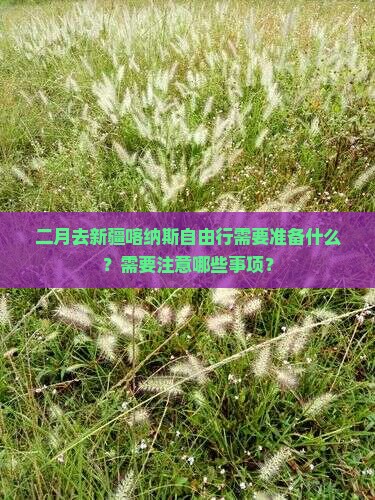 二月去新疆喀纳斯自由行需要准备什么？需要注意哪些事项？