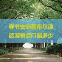 春节去新疆布尔津旅游景点门票多少新疆旅游攻略