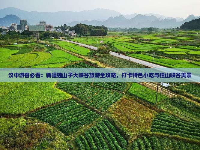 汉中游客必看：新疆独山子大峡谷旅游全攻略，打卡特色小吃与独山峡谷美景