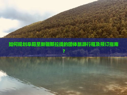 如何规划阜阳至新疆那拉提的团体旅游行程及预订指南？