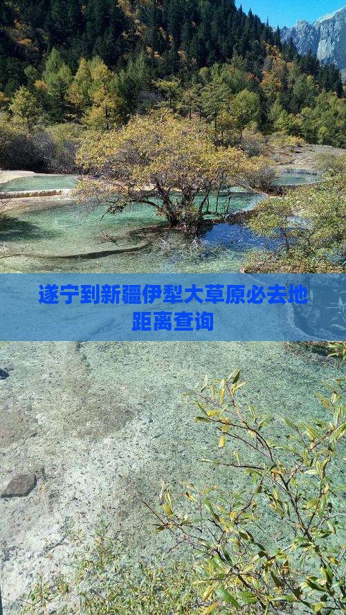 遂宁到新疆伊犁大草原必去地距离查询