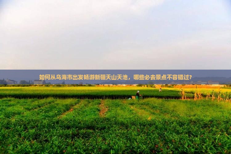 如何从乌海市出发畅游新疆天山天池，哪些必去景点不容错过？