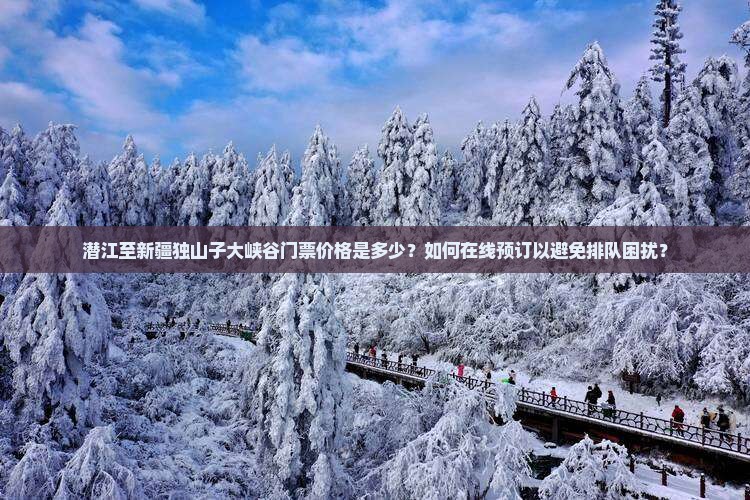 潜江至新疆独山子大峡谷门票价格是多少？如何在线预订以避免排队困扰？