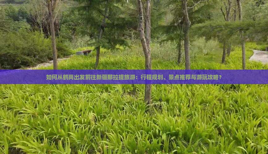 如何从鹤岗出发前往新疆那拉提旅游：行程规划、景点推荐与游玩攻略？