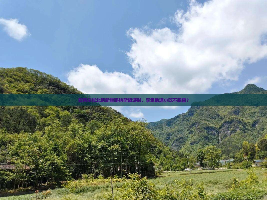 如何从张北到新疆喀纳斯旅游时，享受地道小吃不踩雷？