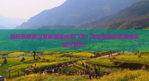 如何获取武汉至新疆喀纳斯门票？限时优惠攻略及抢票痛点解析！
